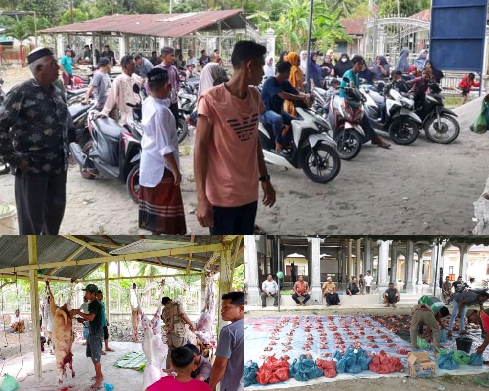 KEGIATAN PENYEMBELIHAN DAN PEMBAGIAN DAGING QURBAN IDUL ADHA UNTUK MASYARAKAT GAMPONG PUTOH